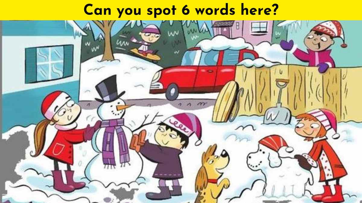 Test your vision by finding 6 words hidden in the snowy image within 15 seconds!