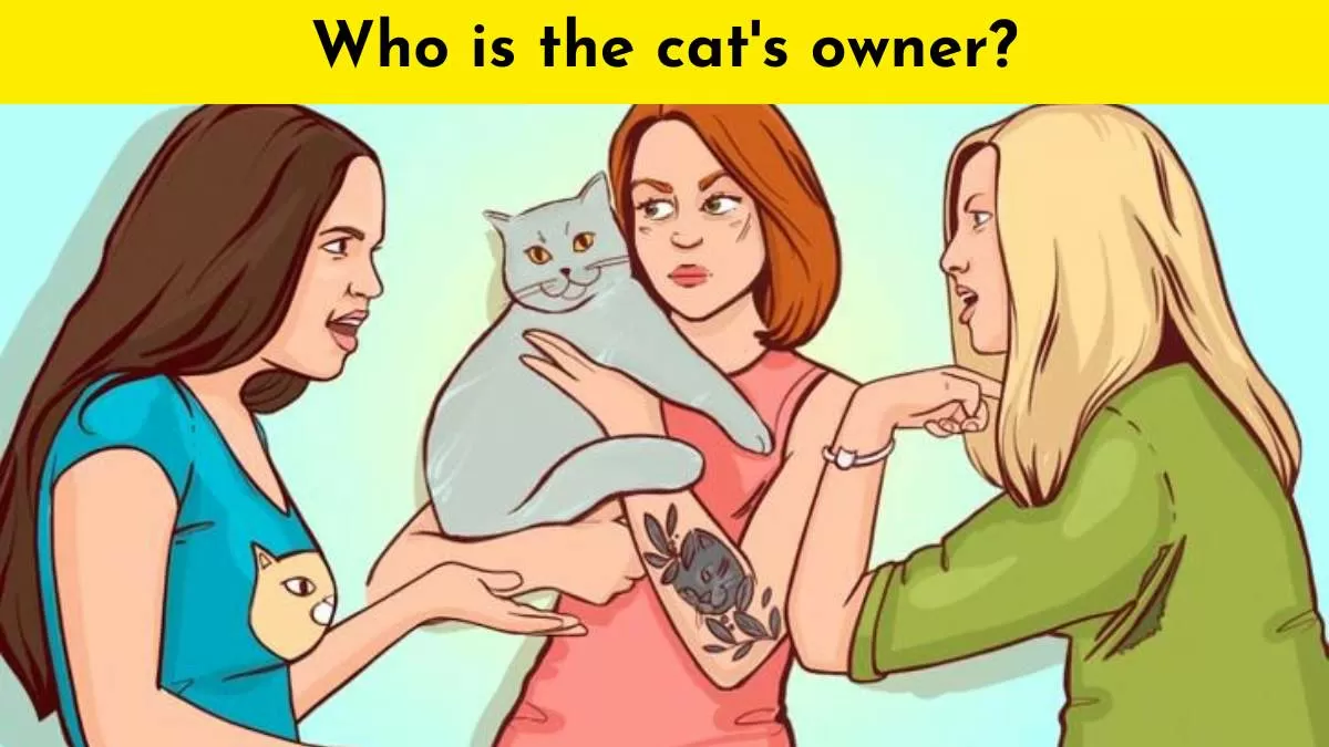 Find the cat’s owner in 6 seconds