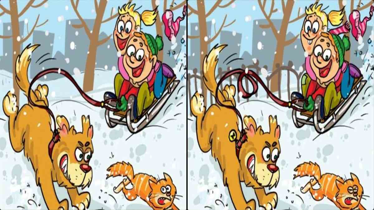 spot 10 differences in 13 seconds