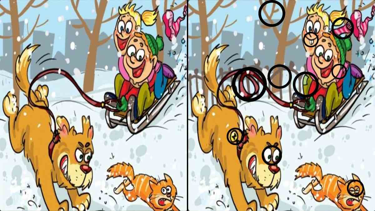 spot 10 differences in 13 seconds