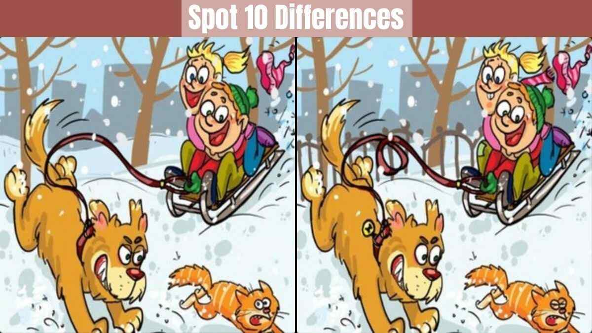 Spot The Difference: It Is A Battle Of Wits And You Have To Win
