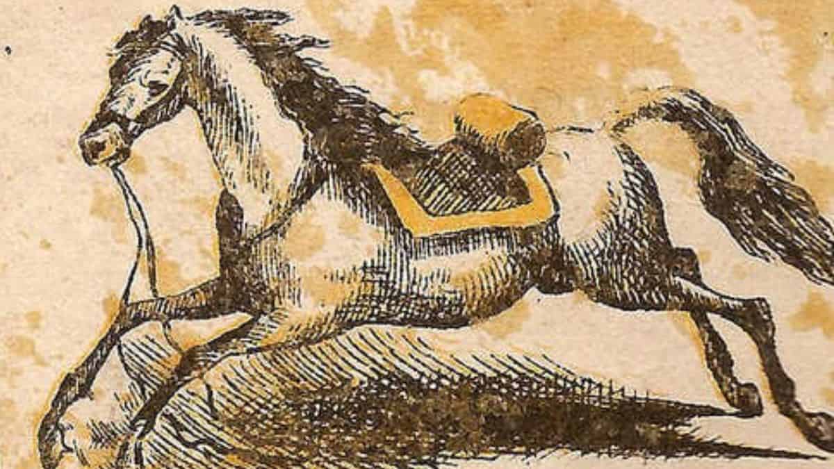 Brain Teaser to Test Your IQ: Find the Horse Rider in 5 Seconds!