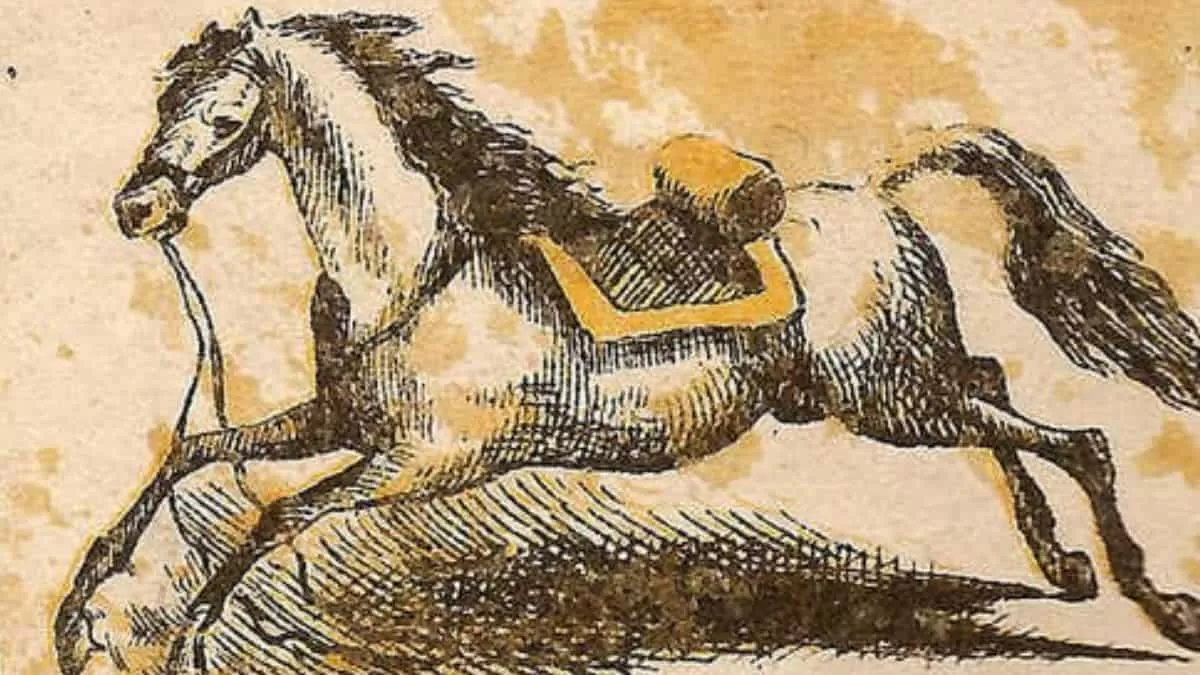 Brain Teaser to Test Your IQ: Find horse rider