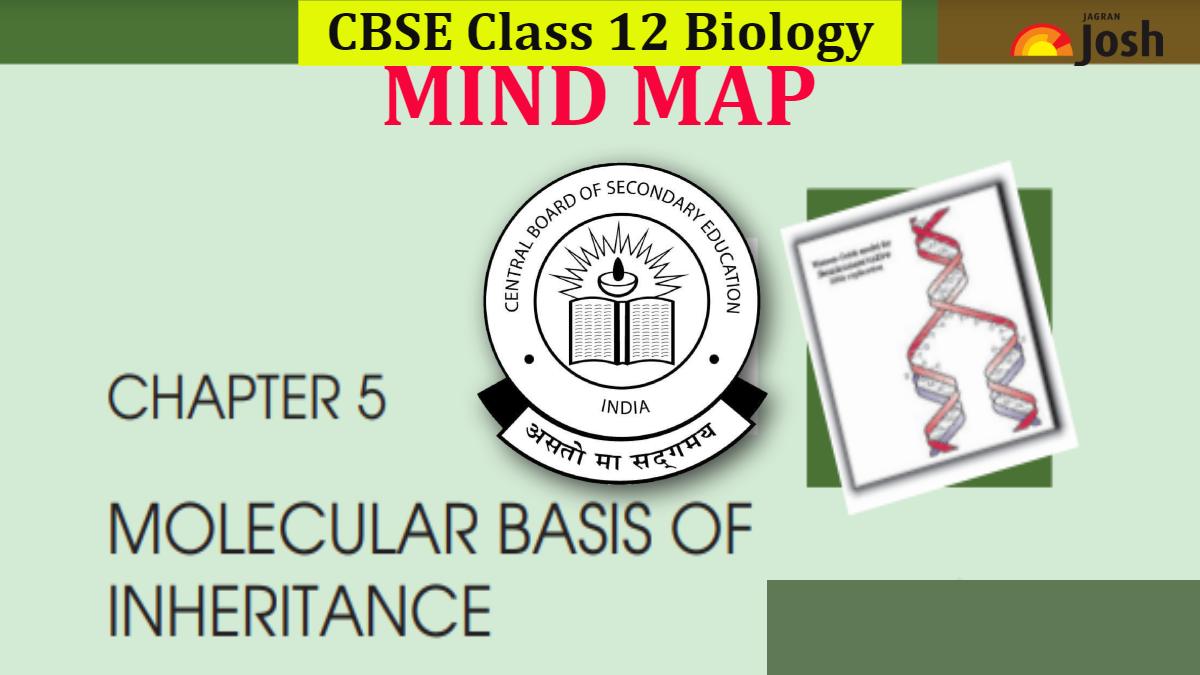 Download PDF for CBSE Class 12 Science Chapter 5 Molecular Basis of Inheritance Mind Map