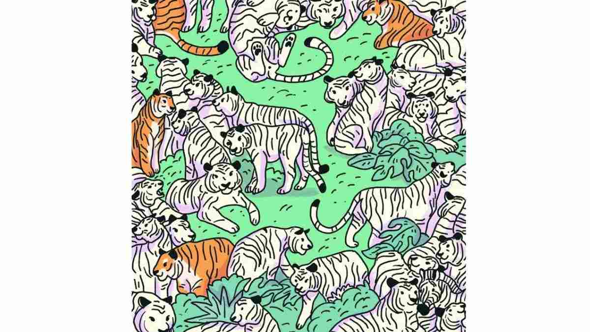 where is the zebra