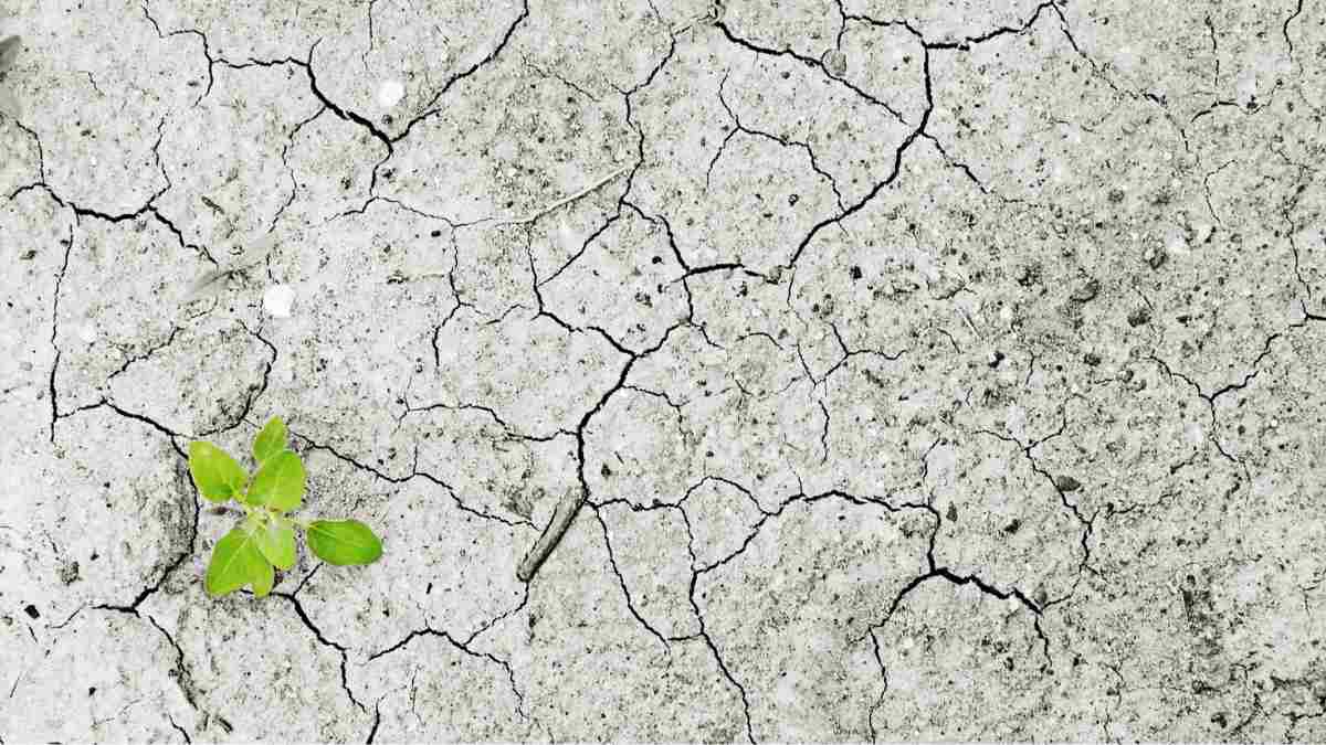 Why is the whole world experiencing its hottest summer yet? Explained.