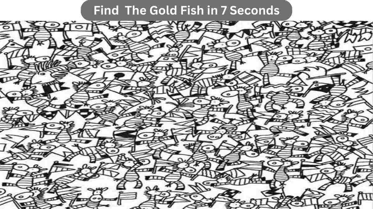 Optical Illusion: Are You a Goldfish or is your vision better?