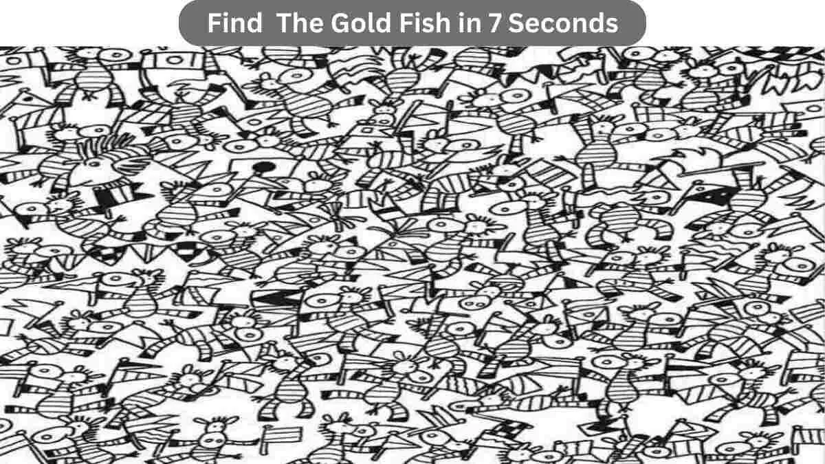 Find Gold fish in 7 seconds