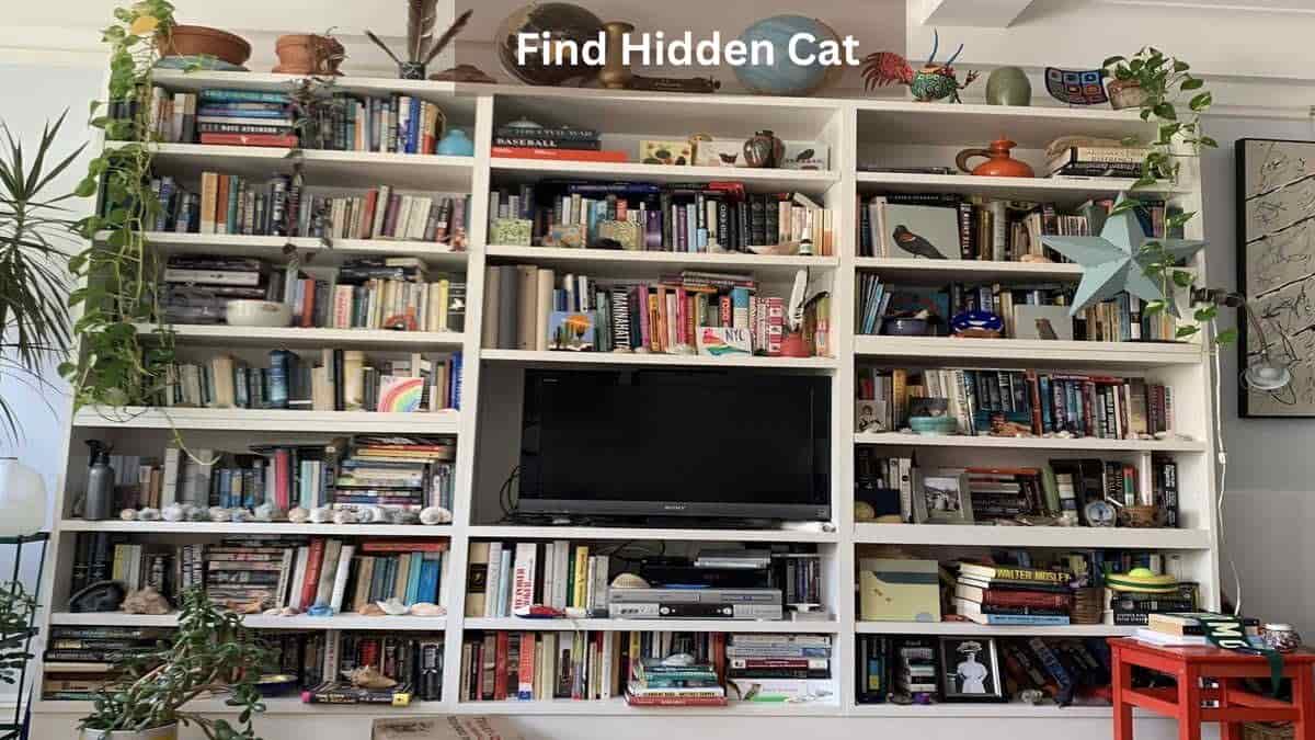 Optical illusion iq test you have eagle eyes if you can spot the