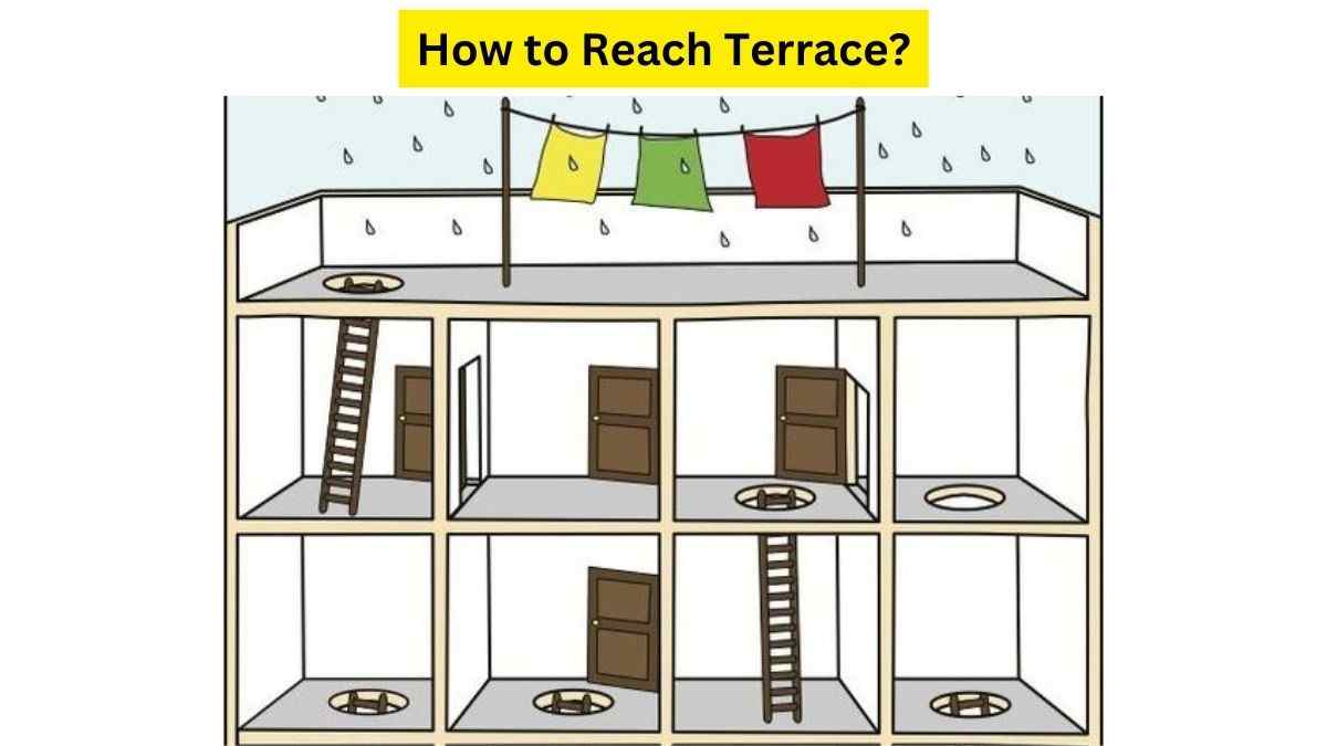 The Terrace Quest: Lead the Woman to Her Destination Through The Maze To Reach The Rooftop in 100 Seconds.