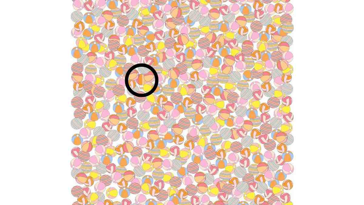 the hot air balloon is here