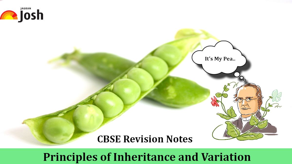 Download CBSE Class 12 Biology Chapter 4 Principles of Inheritance and Variation Revision Notes PDF