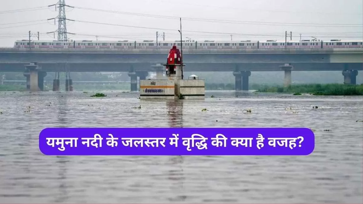 यमुना नदी के जलस्तर में वृद्धि की क्या है वजह?  