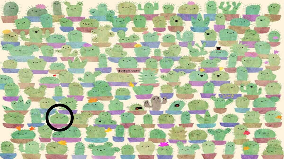 Find The Object In 7 Seconds