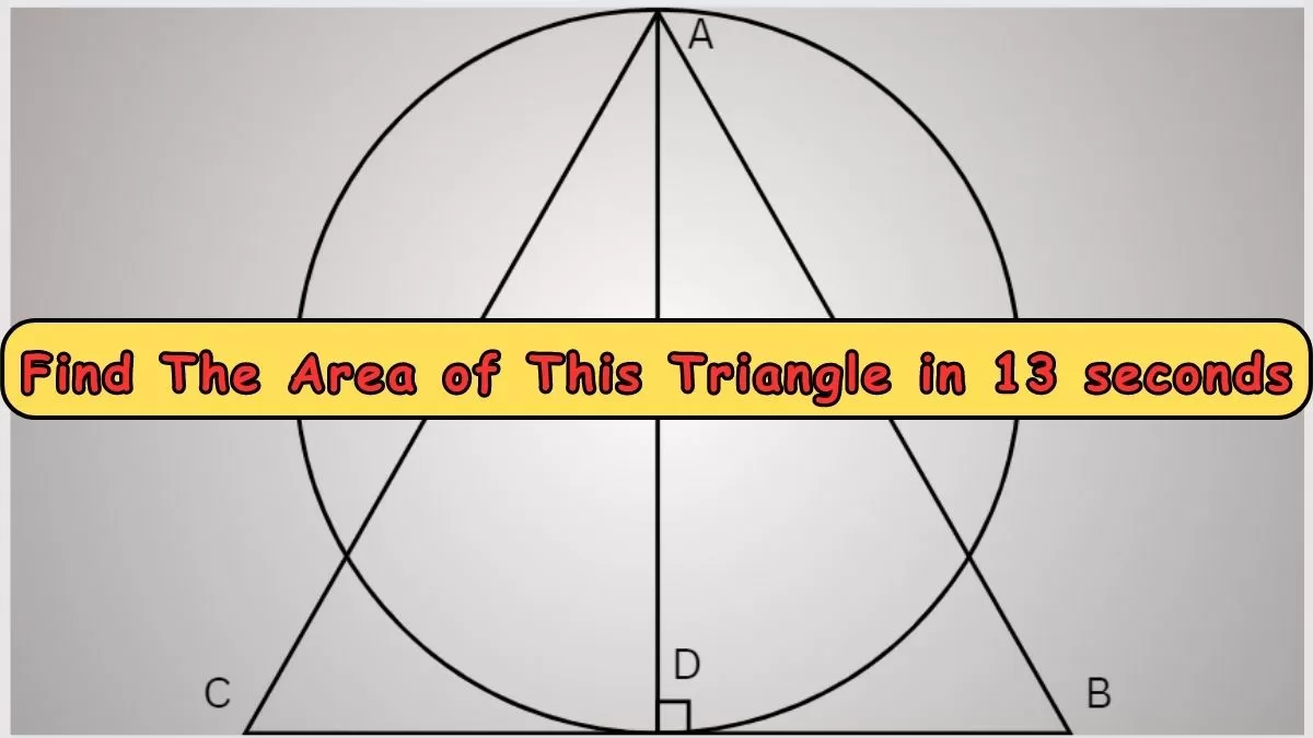 Can You Solve this Mensuration Math Riddle Question to Find The Area of This Triangle