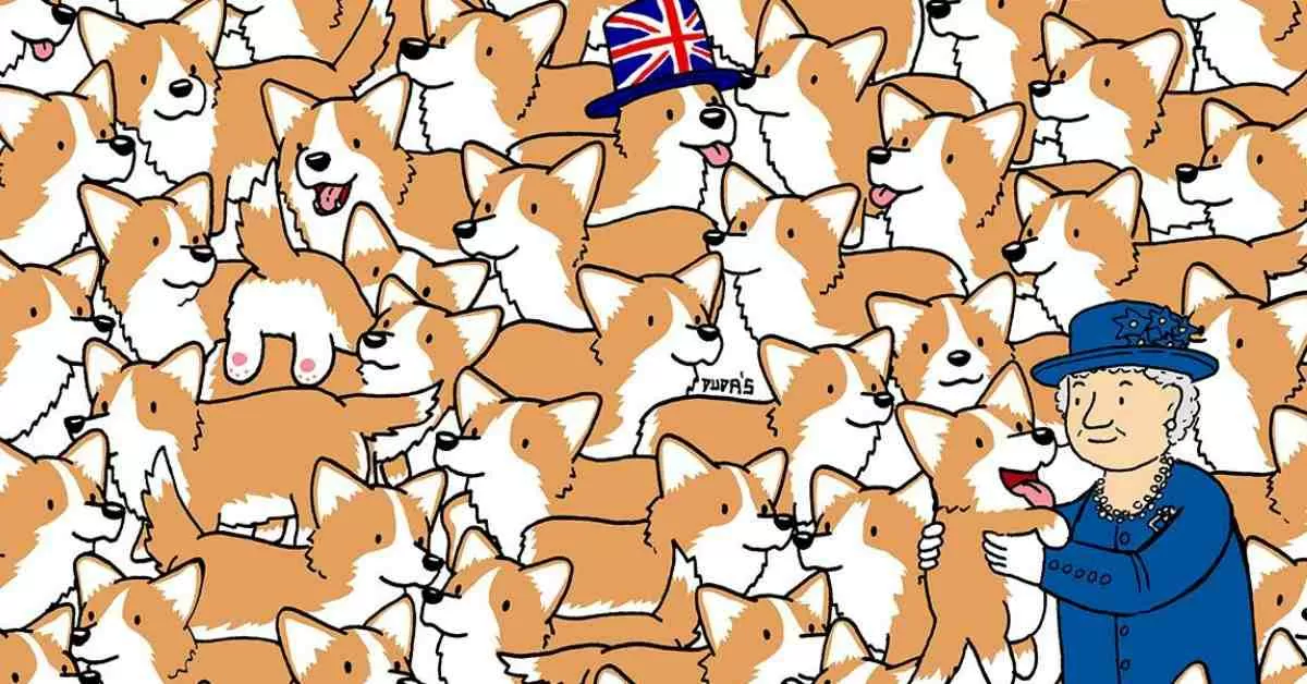 Find the Hidden Bread Loaves Among the Queen's Corgis