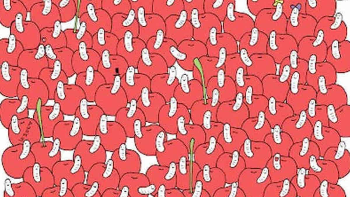 Seek and Find Challenge: Find Cherry without Worm in 8 Seconds!