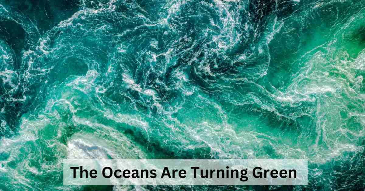 Explained: Why Are the Oceans Changing Colour?