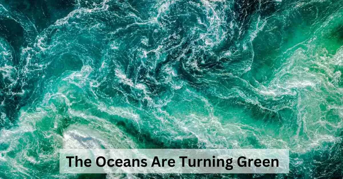 Why are the oceans turning green