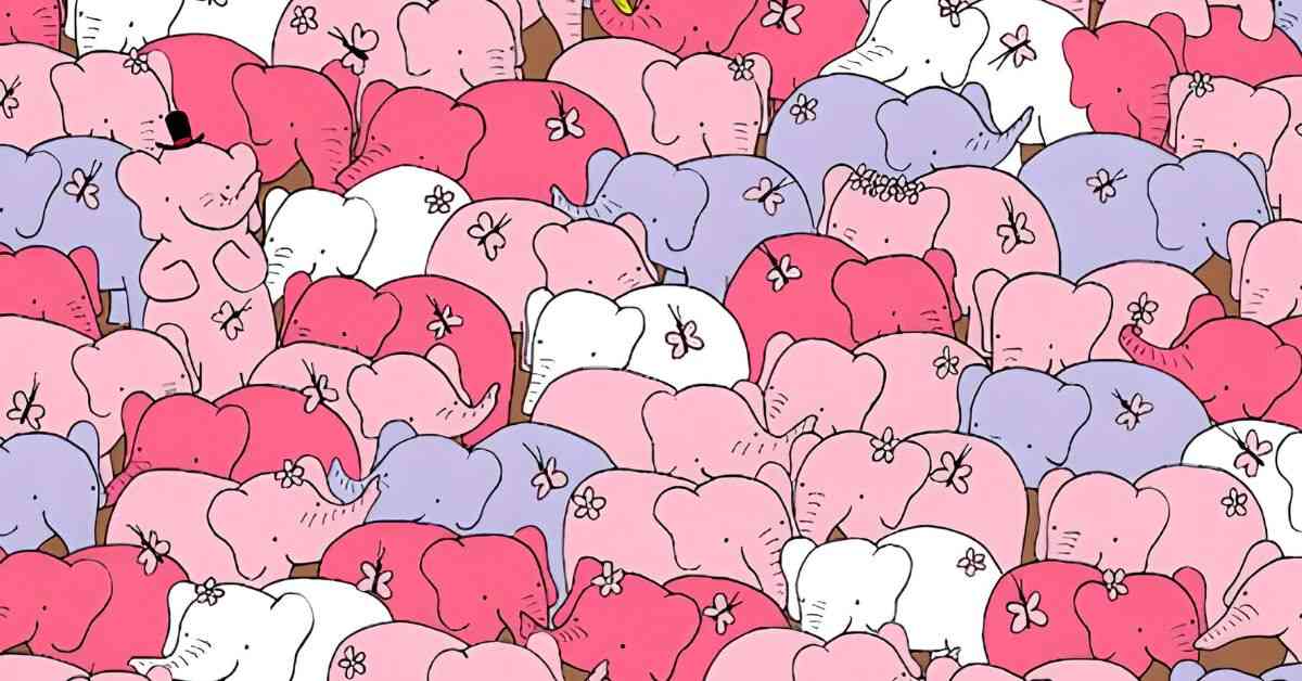 The Elephants Are Hiding a Heart: Can You Find It?