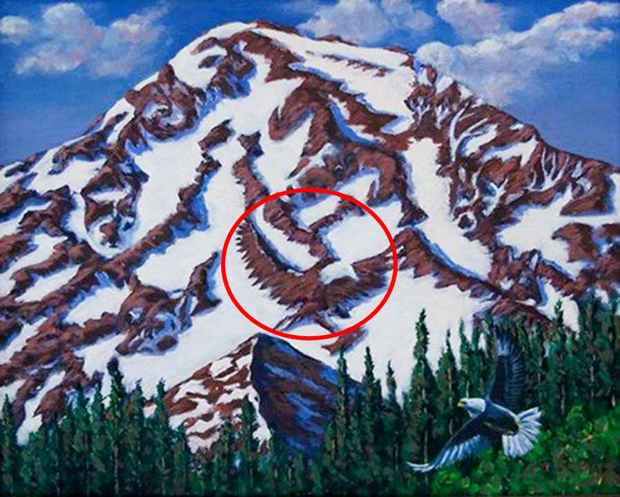 Only 1% With Eagle Vision Can Spot The Second Eagle In The Optical ...