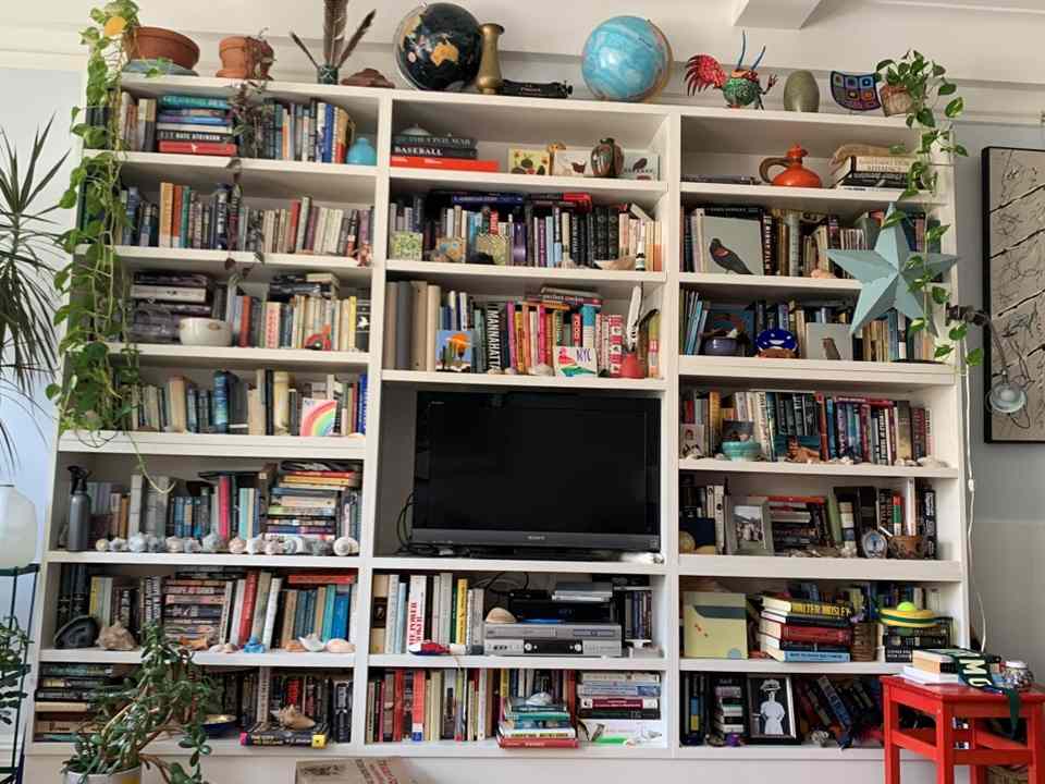 find the cat in the picture