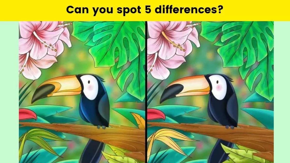 Spot 5 differences 