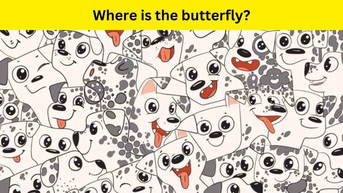 Use your puzzle-solving skills to find the butterfly hiding among dalmatian puppies within 8 seconds!