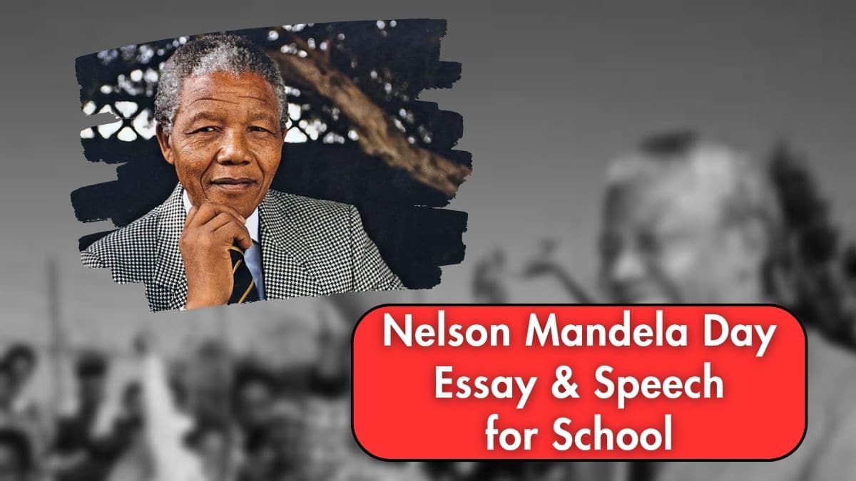 an essay about nelson mandela day