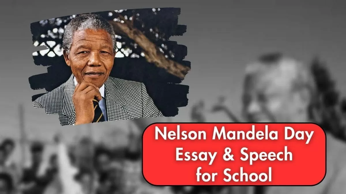 essay about make every day a mandela day