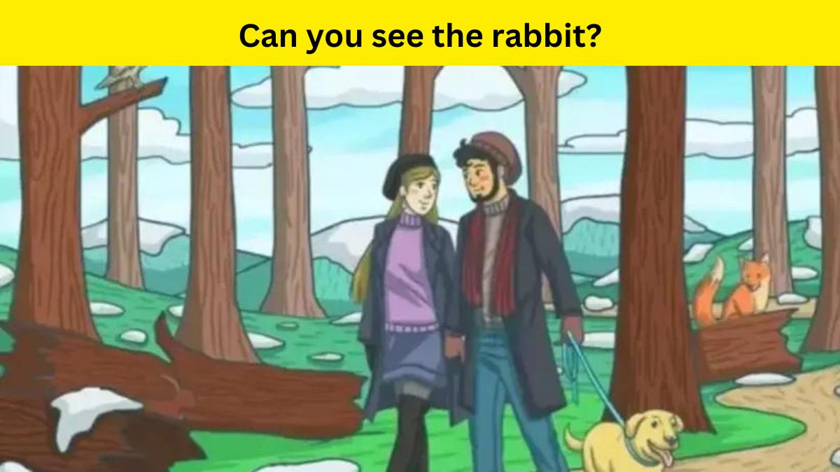 Test how high your brain power is by finding the rabbit hiding in the jungle within 7 seconds!
