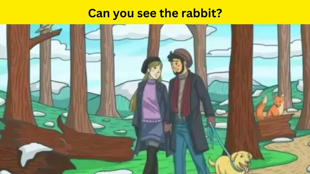 Optical Illusion- Find the rabbit in 7 seconds