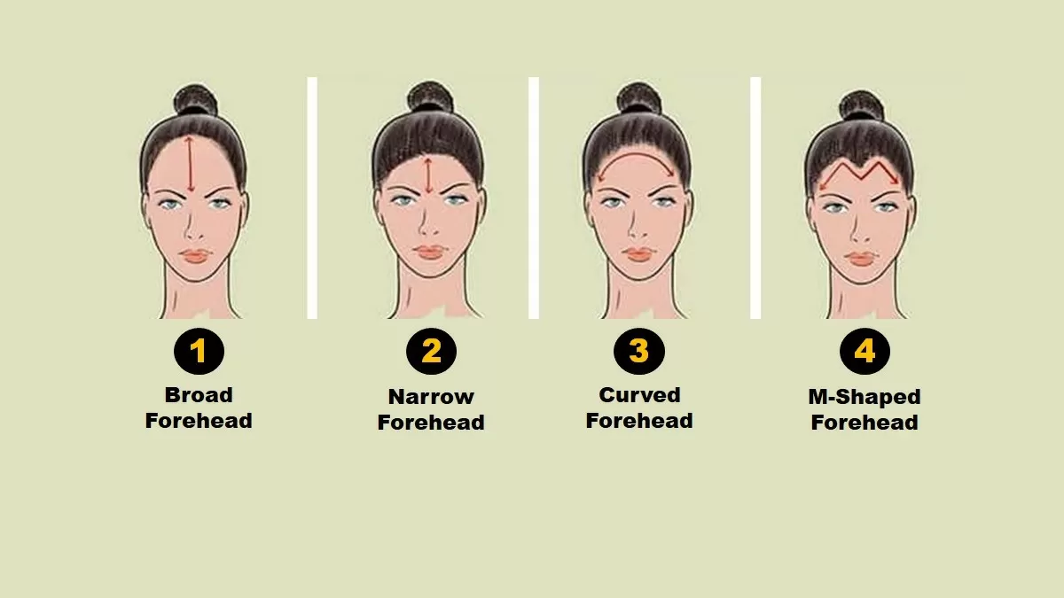 Personality Test: Your Forehead Shape Reveals Your Hidden Personality Traits