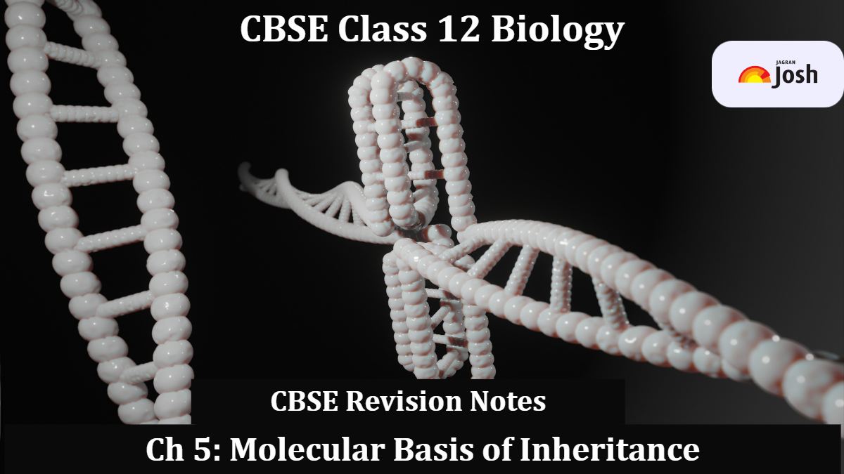 Download CBSE Class 12 Biology Chapter 5 Molecular Basis of Inheritance Revision Notes PDF