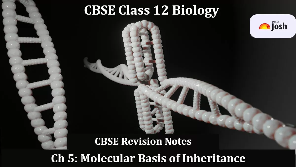 CBSE Class 12 Biology Molecular Basis Of Inheritance Revision Notes For ...