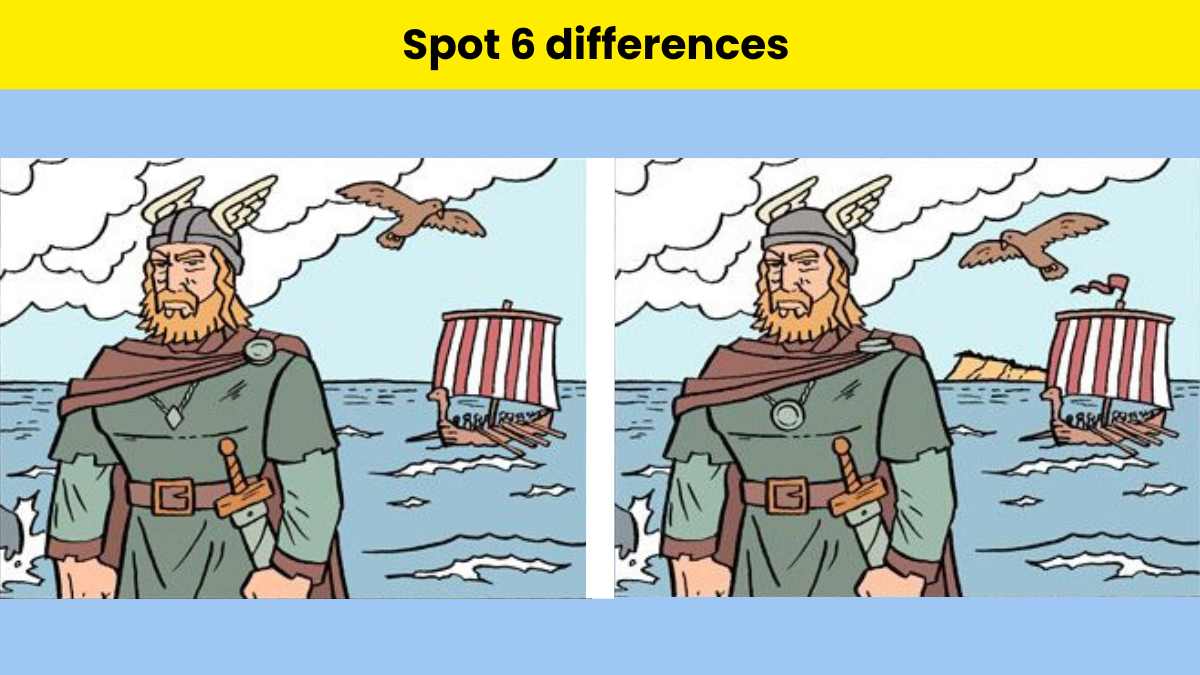 Only 1% geniuses can spot 6 differences in the Viking picture within 18 seconds!