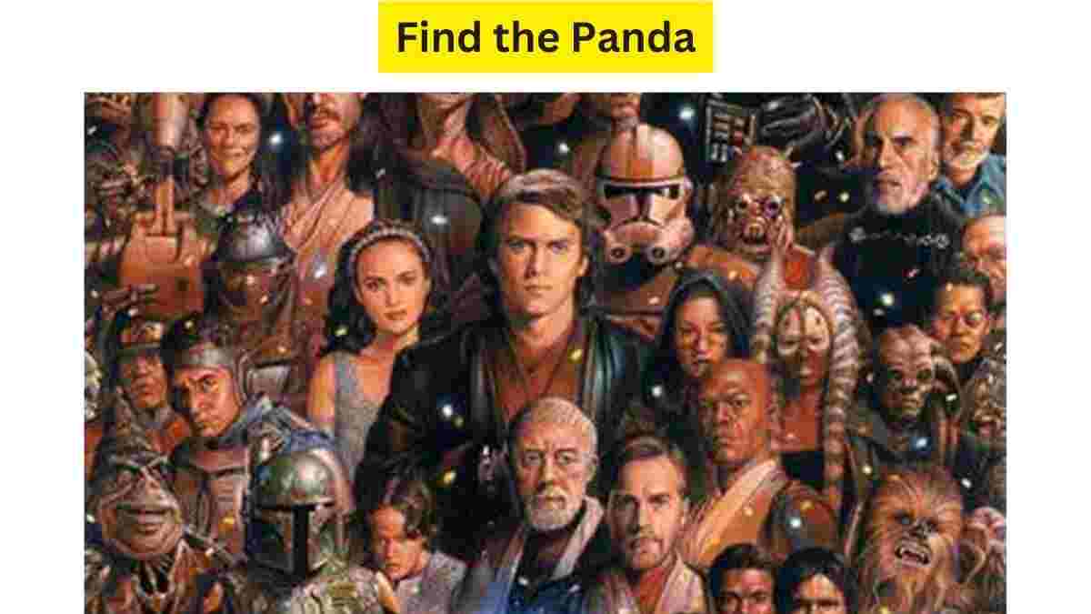  Star Wars Edition Brain Teaser: Only 5 True Fans Can Spot The Rebel Panda Hidden Among the Classic Heroes. 29 Seconds Left!
