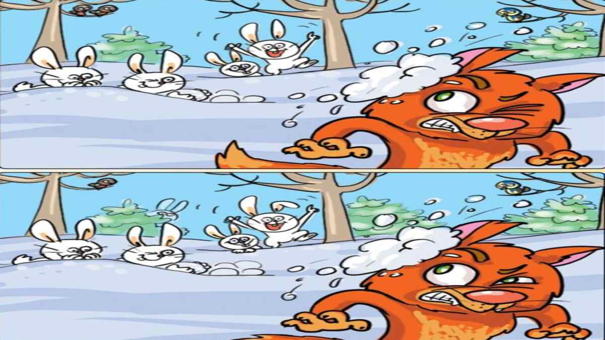 Are 11 Seconds Enough For You To Spot 10 Differences?