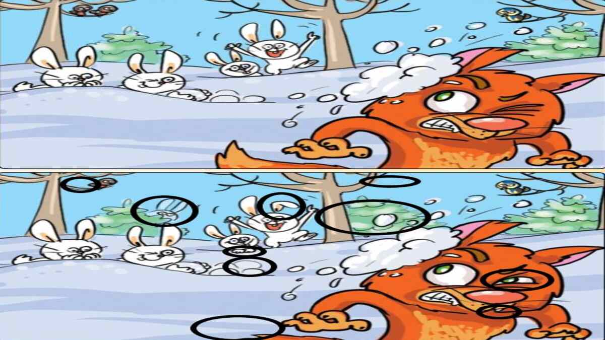 Are 11 Seconds Enough For You To Spot 10 Differences?