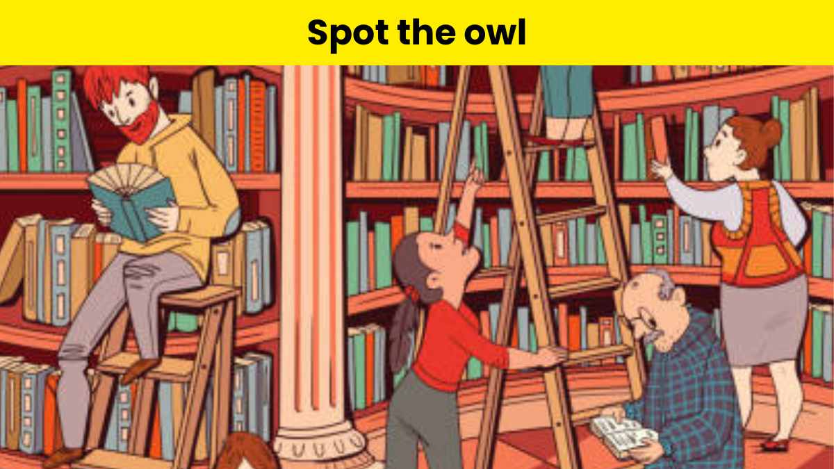 Challenge your visual skills by finding the owl in the library within 5 seconds!