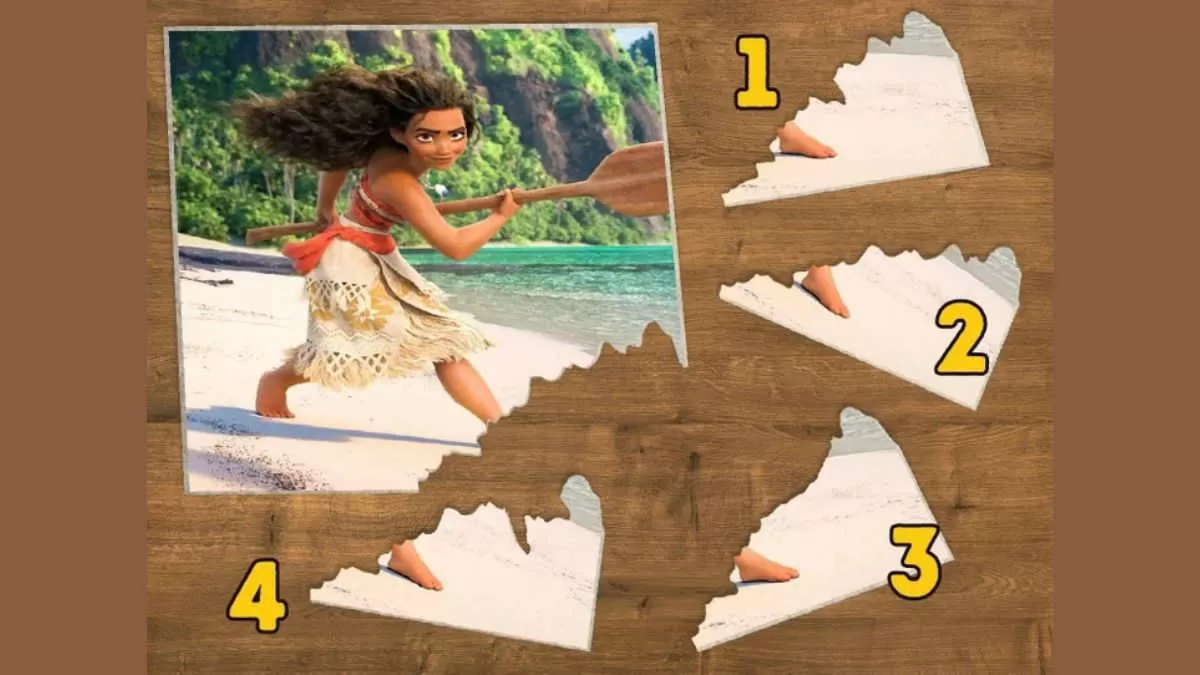 Find Correct Puzzle Piece