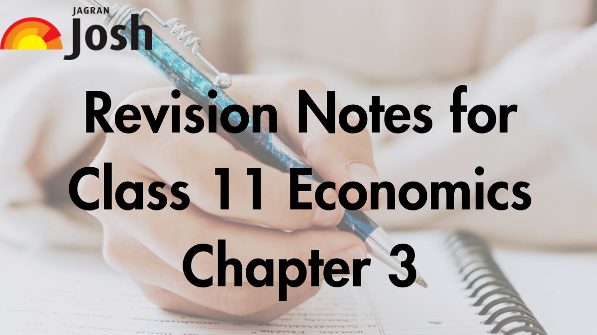 grade 11 economics assignment term 3