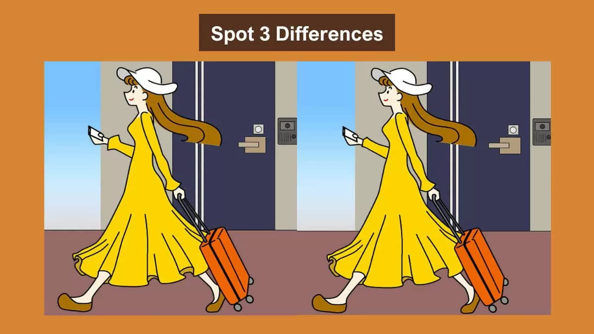 Spot 3 differences between the lady with the trolley bag pictures within 12 seconds