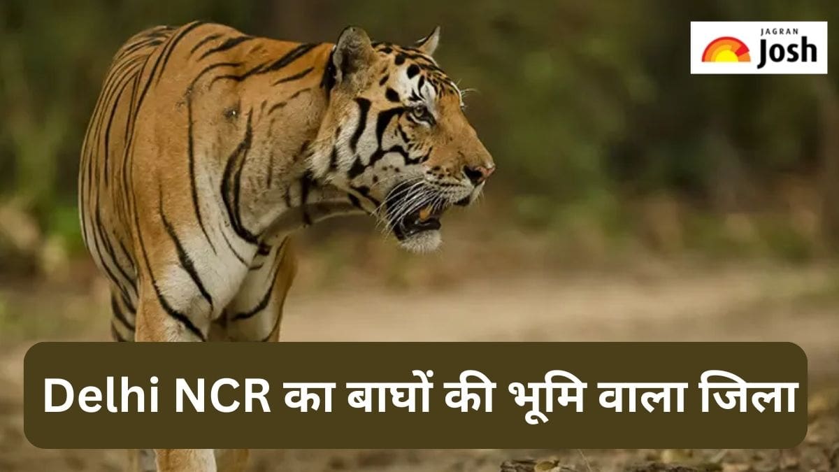 भारत के किस जिले को बोला जाता है Land of Tigers, जानें 