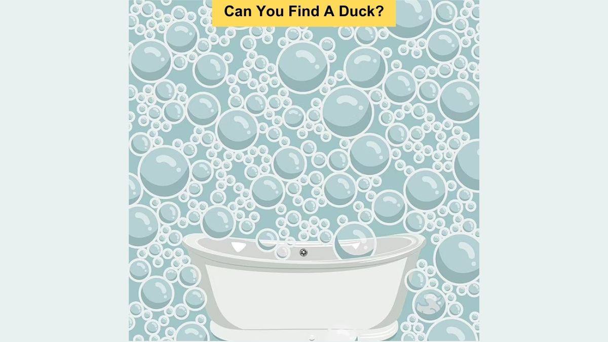 How Quickly Can You Spot The Duck? An Average IQ Person Took 28 Seconds! 