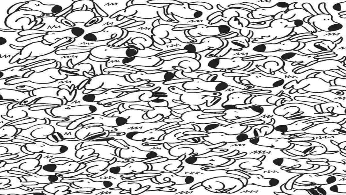 Will Your Vision Be able To Overcome This Optical Illusion?
