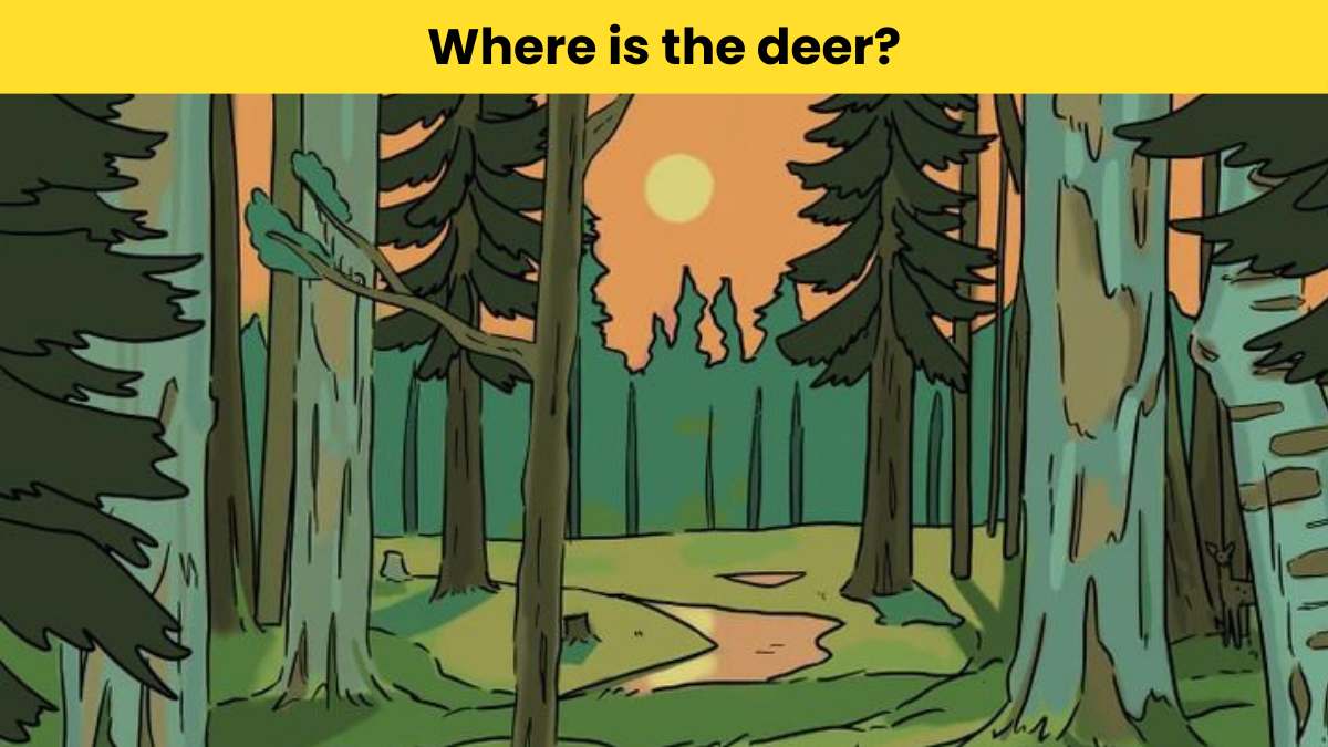 Visual Test: You have great eyes if you can spot the deer in the woods in 7 seconds!