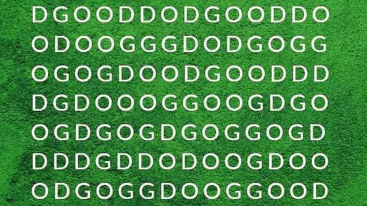 Ultimate Brain Teaser: Find the Word “DOG” in 5 Seconds!
