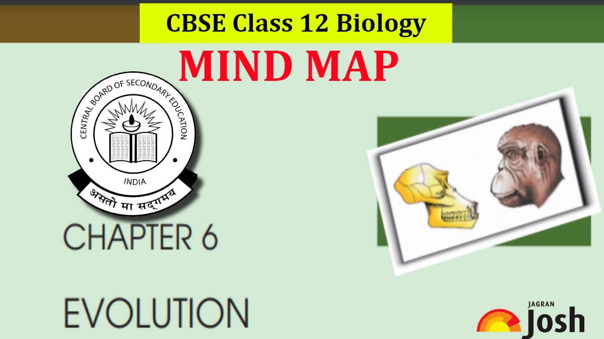 Download PDF for CBSE Class 12 Science Chapter 6 Evolution Mind Map