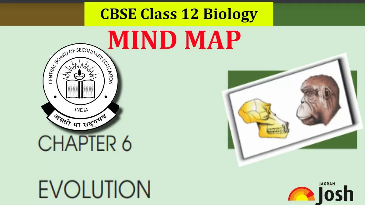 CBSE Evolution Class 12 Mind Map For Chapter 6 Of Biology Download PDF   Chapter 6 Evolution Mind Map.webp